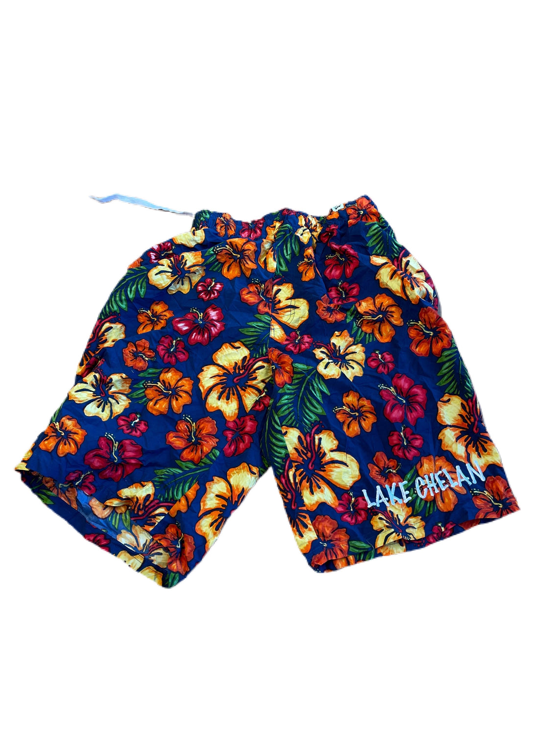 Summer Hawaii Shorts