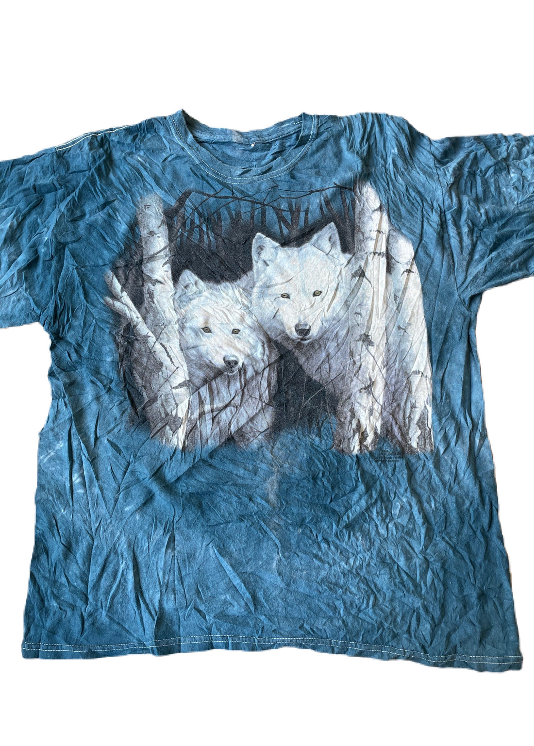 Summer Exclusive Animal Mountain Graphic T-shirts *